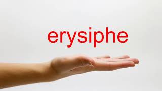 How to Pronounce erysiphe  American English [upl. by Rikahs]