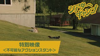 『シアター・キャンプ』特別映像＜不可能なアクションスタント＞│2023年10月6日金公開！ [upl. by Tirzah353]