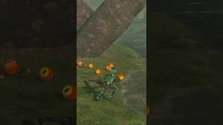 Keese Eyeball Farming In Zelda Totk [upl. by Naicad]