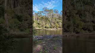 Warrandyte State Park  VIC Australia park lake river camping hike asmr relax outback [upl. by Koby983]