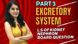 Understanding the Excretory System The Kidney and Nephron Explained  Biology Class 10  DRUB [upl. by Okechuku]