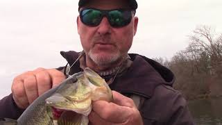 Winter Punchin and Jiggin with Yamamoto Baits [upl. by Roberts]