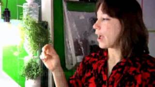 Kids Introduction to Hydroponic Gardening [upl. by Daniel]