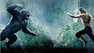 Immortals movie  new Hollywood movie hindi dubbed  movies explained in hindi [upl. by Ardyth]