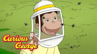 George the Beekeeper 🐵 Curious George 🐵 Kids Cartoon 🐵 Kids Movies [upl. by Lawler44]