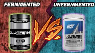 Glutamine Fermented VS Unfermented [upl. by Argella]