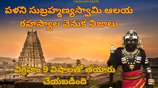 Palani Subhramanyaswami temple mysteries explained in Telugu by Taanvika facts [upl. by Ninnahc404]