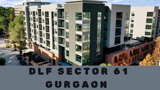 DLF Sector 61 Gurgaon  Luxurious Residences [upl. by Reste]