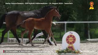 Lot 35 v Viva Vitalis  Locksley III [upl. by Ytsirc89]