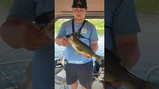 Bring him🤷🏽‍♂️ bassfishing achigan boating wildlife outdoors [upl. by Atined]