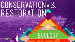 Conservation and Restoration Ecology Crash Course Ecology 12 [upl. by Neffirg490]