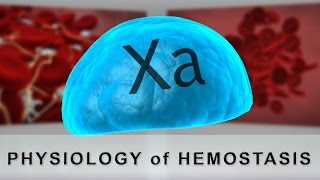 Physiology of Hemostasis [upl. by Allecram]