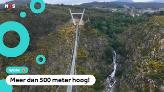 Dit is de langste hangbrug voor wandelaars ter wereld [upl. by Drof301]