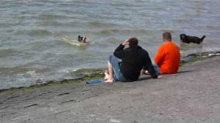 Hundestrand in Norddeich [upl. by Leynad]