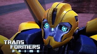 Transformers Prime  Bee Trap  Transformers Official [upl. by Kat775]