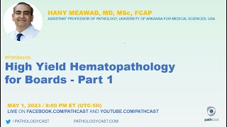 PATHBOARDS High Yield Hematopathology for Boards  Part 1 [upl. by Lubbock]