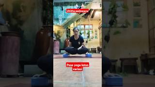 Latihan uttitha padmasana yoga yoga yogapractice yogalife yogapose yogagirl latihanyoga [upl. by Helve]