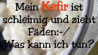 😕Meine Milchkefir Kefirknollen Kefirpilze sind schleimig und ziehen Fäden Was kann ich tun [upl. by Addiego]