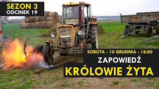 Królowie Żyta Sezon 3 odcinek 19 I ZAPOWIEDŹ I Kabaret Malina [upl. by Ibot]