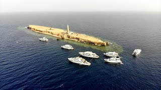 Brothers Islands Daedalus Reef und Elphinstone [upl. by Nwadal494]