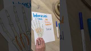 Interossei Muscles Study Trick [upl. by Schacker174]