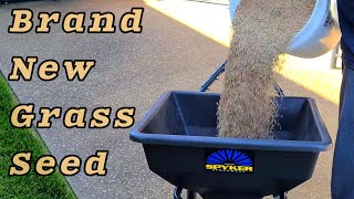 Brand New Grass Seed by ElevatedLawnscapes [upl. by Kowal]