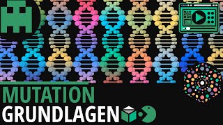 Mutation Grundlagen│Biologie Lernvideo Learning Level Up [upl. by Aceber]