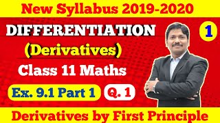 Differentiation Ex 91 Part 1 Derivatives by First Principle  Class 11 Maths  Dinesh Sir [upl. by Rovert55]