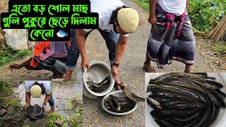 এতো বড় শোল মাছ গুলি পুকুরে ছেড়ে দিলাম কেনো 🐟 [upl. by Tuttle574]