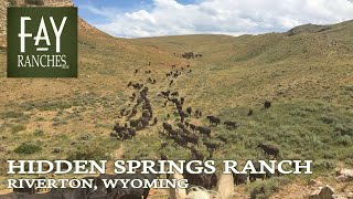 SOLD  Wyoming Ranch For Sale  Hidden Springs Ranch  Riverton Wyoming [upl. by Delfeena]