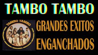 Tambo Tambo  🎵Grandes Exitos Enganchados🎵 [upl. by Raymond]