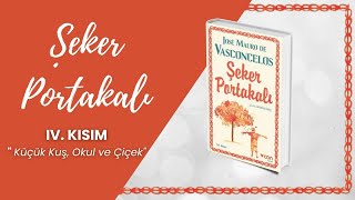 Şeker Portakalı Sesli Kitap  4 BÖLÜM  Jose Mauro de Vasconcelos [upl. by Ahsilat559]