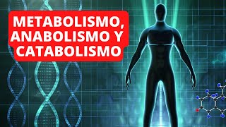 Metabolismo anabolismo y catabolismo explicación diferencias y ejemplos👨‍🔬 [upl. by Nicolas420]