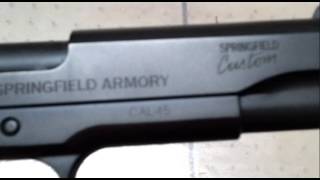 Springfield Armory Professional 45 FBI [upl. by Jephum]