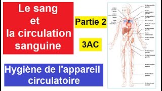 Le sang et la circulation sanguine chez lHomme  Partie2  Hygiène de lappareil circulatoire 3AC [upl. by Truscott404]