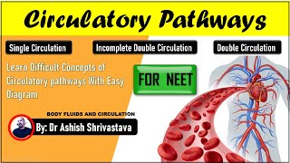 Circulatory Pathway  Body Fluids And Circulation  NEET BIOLOGY [upl. by Eetnuahs638]