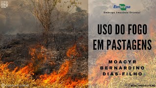 Uso do fogo em pastagens [upl. by Atinrev]