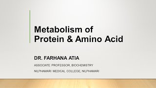 Amino acid metabolism Transamination In Bangla [upl. by Constanta]