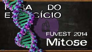 Mitose  FUVEST 2014 [upl. by Hinze]