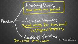 PHONETICS4 Articulatory Phonetics amp Voicing [upl. by Horsey]