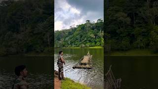 Periyar river 🥰periyar shorts travel wildlife natural viralvideo river forest video insta [upl. by Odnam]