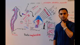 Endoplasmic reticulum amp Lysosome এন্ডোপ্লাজমিক জালিকা ও লাইসোসোম  Dr Razib Hossain Sarkar [upl. by Aivart730]