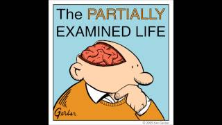 Partially Examined Life podcast  Voltaire  Candide [upl. by Pedaiah]