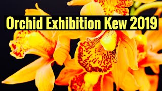 Orchid Exhibition Botanic Gardens Kew in London [upl. by Klatt825]