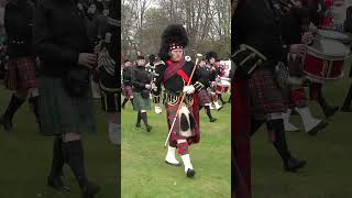 Drum Majors leading the Highland massed Pipes amp Drums into Crawl Park Alness in April 2023 shorts [upl. by Anaicilef]