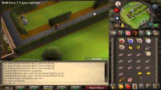 WITCHS HOUSE  OSRS Quick quest guides for pures [upl. by Yelrak]