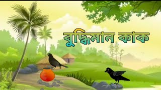 বুদ্ধিমান কাক। tellented crow। বুদ্ধিমান কাকের জল পান। 😊👌Sunday story । [upl. by Navillus]