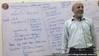 Physiology Lecture 6 Megaloblastic Anemia [upl. by Dnomra]