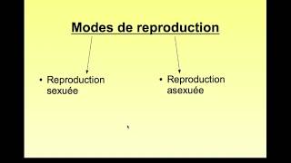 Modes de reproduction Cours et Exemples  Collège Cycle 4 [upl. by Adnolohs]