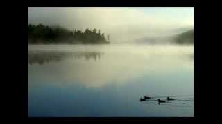 Melwood Cutlery  Loon on the Lake [upl. by Brion]